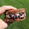 Cinnamon Chocolate Chip